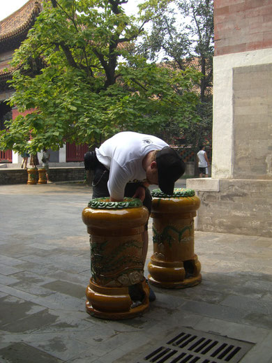 Catch it if you can. (Lama Tempel)