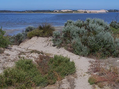 Coorong - Reference RR4 Create Mood And Make adjustments Using Layers