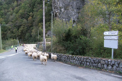 Au Pont de Cebers, direction Etsaut et la Maison du Parc National de 1967