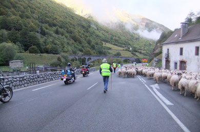 Le Peilhou résonne du grondement des bikers et du piétinement des brebis...