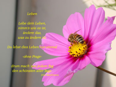 Leben