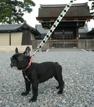 京都御所の本殿玄関前にてポーズ