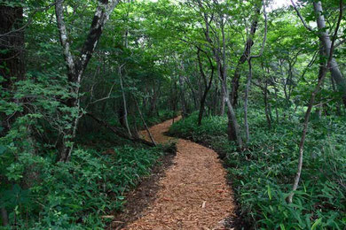 那須平成の森