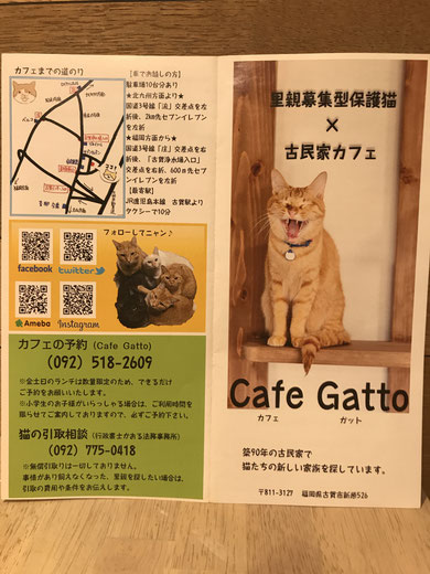 ペットシッター｜ペットシッティング｜お世話｜大分市｜別府市