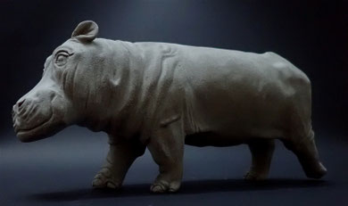 Hippo encore et toujours...