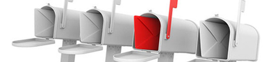 your business your life mailfromhome millionaire mailer