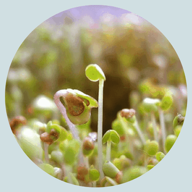 la table d'hôtes des 7sartôts