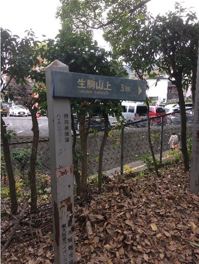 枚岡神社(筆者撮影)