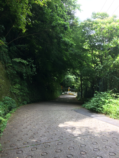 暗峠(筆者撮影)