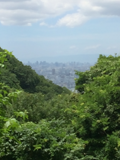 暗峠(筆者撮影)