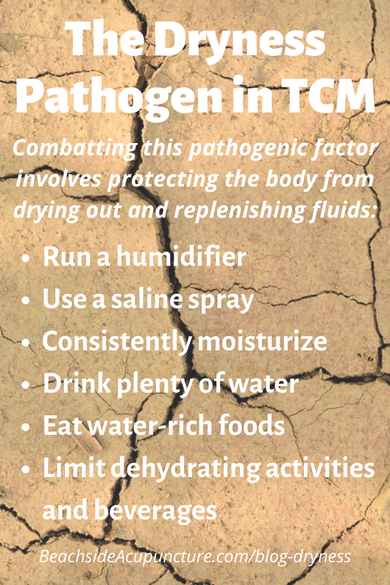 The Dryness Pathogen in TCM over cracked earth with link to the Beachside blog