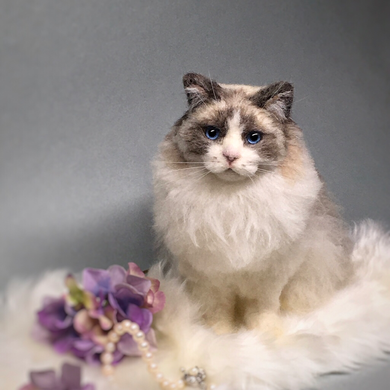 Gallery 羊毛フェルト猫作品 - Hinali羊毛フェルト猫 リアルで Gallery 羊毛フェルト猫作品 - Hinali羊毛フェルト猫 リアルで