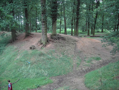 Hobs Moat