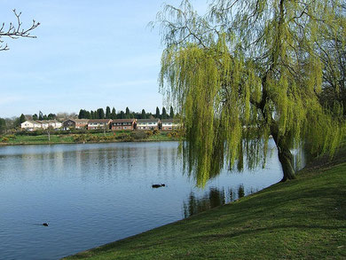 Lower Witton Lakes photographed by Lee Jordan. Image downloaded from the flickr website and reused under Creative Commons Licence Attribution-Share Alike 2.0.