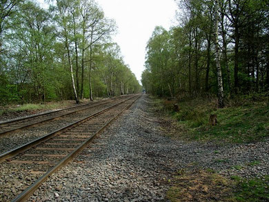 The Wolverhampton-Walsall Railway