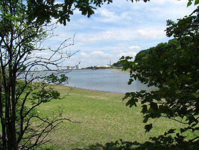 Edgbaston Reservoir