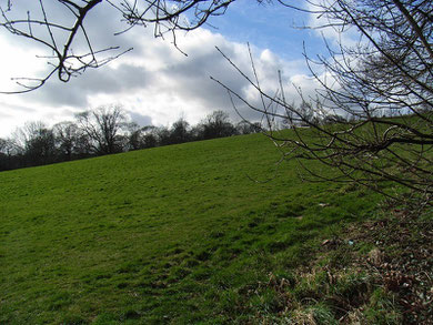 Ley Hill viewed from Merritts Hill. The housing estate is over the brow of the hill