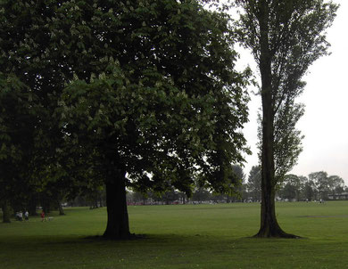 Selly Oak Recreation Ground