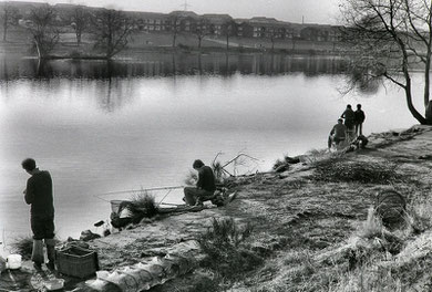 Brookvale Park in the late 1970s. Image used with the kind permission of the late Keith Berry from his online collection of photographs. See Acknowledgements.