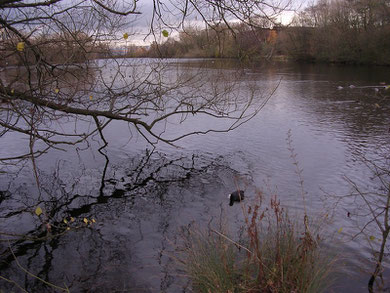 Plantsbrook Nature Park