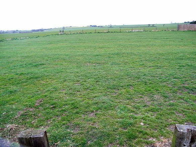 Ridge & furrow at Hurst Green Road/ Cottage Lane junction. Barely visible in the photograph, the strips run horizontally across the photograph. See the Google map below.