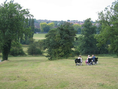 Manor Farm Park, Northfield (c) Copyright David Stowell and licensed for reuse under this Creative Commons Licence.Geograph OS reference SP0280. See Acknowledgements.