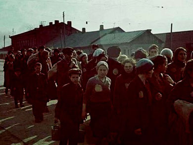 Selektion i tilintetgørelseslejren Auschwitz