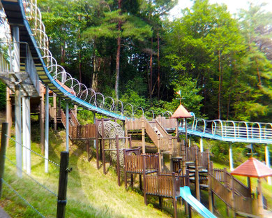 スカイローラー