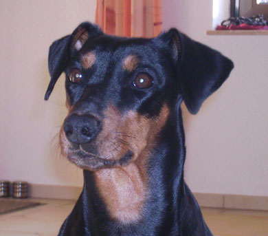 Sally mit 6 Jahren