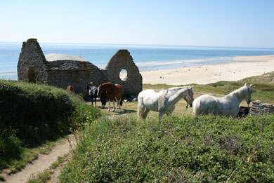 Ruines de l'ancienne chapelle.