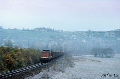 Güterzug mit Diesellok der Baureihe 110 vor Eibenberg © Archiv tzc
