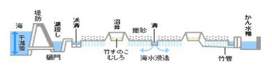 *図をクリックすると拡大します