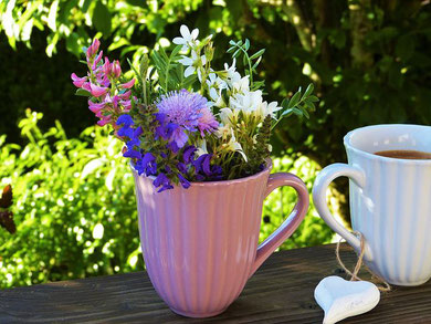 zwei Tassen mit Kaffee auf einem Tisch - eine rosa und eine weiss - am Henkel ein weisses Herz - im Hintergrund gruene Pflanzen - Symbol fuer ein miteinander arbeiten
