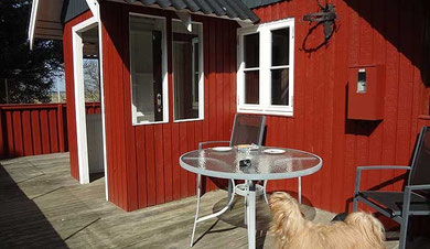 Bya-ra auf der Veranda