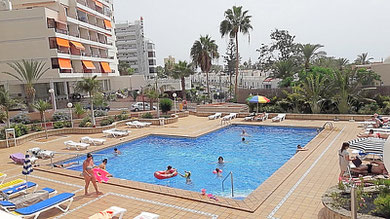 Gemeinschftspool mit Palmen im Hintergrund.