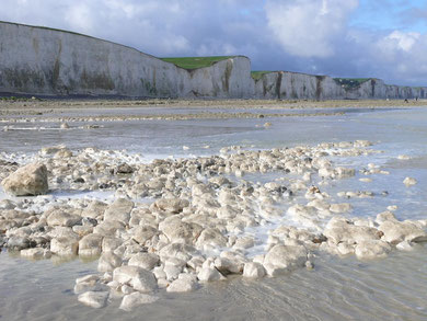 Falaises, Ault, Le Bois de Cise, Baie de Somme, fossiles, oursins, dinosaures, galets, oiseaux