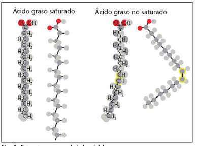 ácido grasos saturados e insaturados: tomado de www.difarmacia.com