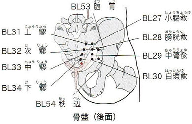 膀胱経：八髎穴