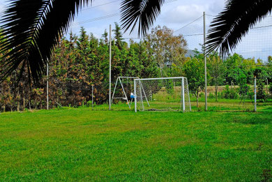 Campo di calcio