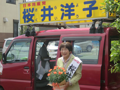 息子さんから母の日のカーネーション（桜井市議）