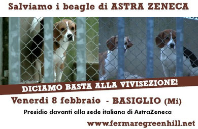 astra zeneca dog angels onlus