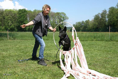 In den Plauschhundegruppen der Hundeschule Matte lernen die Hunde und ihre Menschen spielerisch. Alltagssituationen werden geübt, Gegenstände gezeigt.