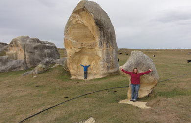 Eine Schafsweide voller großer Felsklumpen (Kalkstein) - die Elephant Rocks