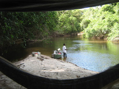 randonnée et découverte de la nature en guyane: balade en crique