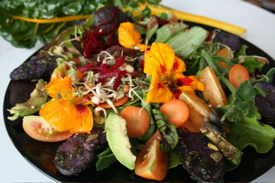 Rainbow fall salad with edible flowers and truffle potatos