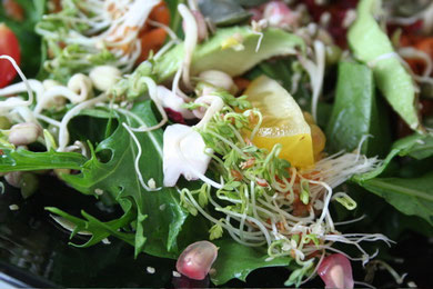 Dandelion with sprouts, yellow cherry tomatoes, avocado and pomegranate