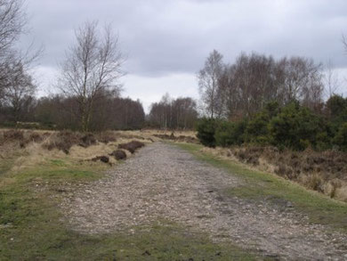 Icknield Street showing its metaled surface.