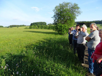 Foto: Frank Ebendorff-Heidepriem