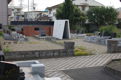 撮影:2010年