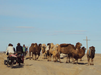 voyage à vélo au kazakhstan, bike touring